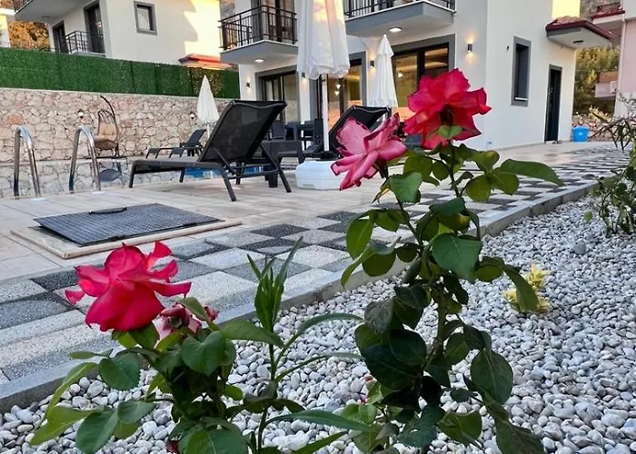Villa Ask
